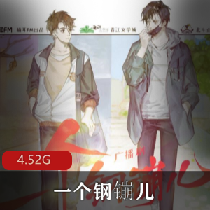 （一个钢镚儿）有声小说