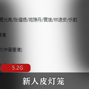 （新人皮灯笼）在线观看