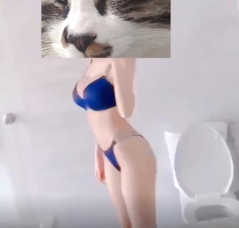 九妖网红超模资源佳作