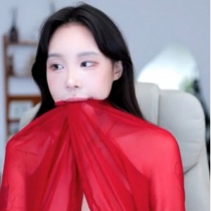 自行打包赛琳韩国烧鸡40V+15G