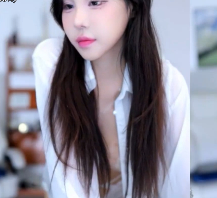 自行打包赛琳韩国烧鸡40V+15G