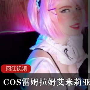 蕾姆二次元cos佳作