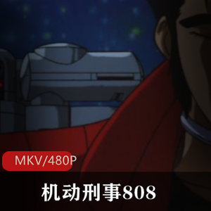 机动刑事808珍藏版推荐
