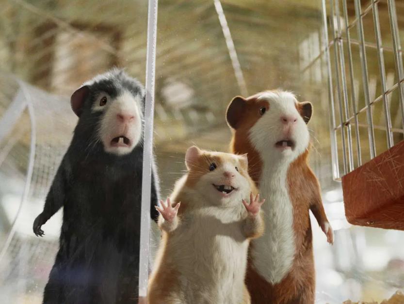 豚鼠特工队：美国动画高清中字版珍藏推荐