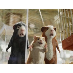 豚鼠特工队：美国动画高清中字版珍藏推荐