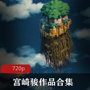 宫崎骏14部经典动画电影珍藏合集