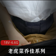 原创乔佳黑丝视频合集5部6.6G太嫩了