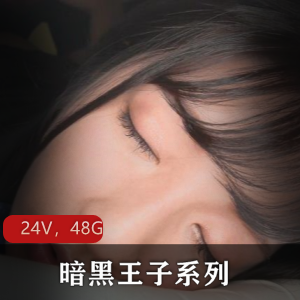 岛国暗黑王子系列无水印合集24部48.2G精选玩法