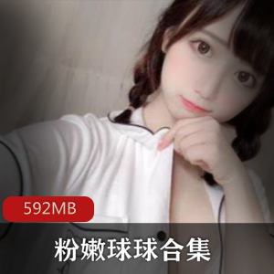 小蓝鸟球球合集67部592MB优质鲍