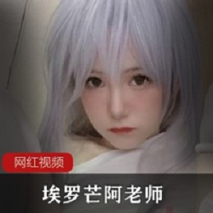 哔哩哔哩埃罗芒阿妹妹给力佳作合集37部73G太顶了