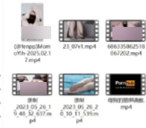 momoyih推特舞蹈视频合集81部41.4G太顶了