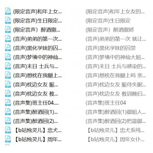 B站烛灵儿120部合集26G绝版